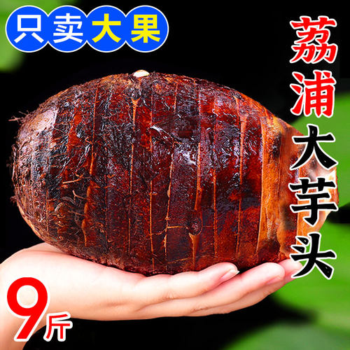 香糯营养 口感细腻 坏果包赔 收藏优先发货