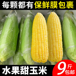 水果玉米新鲜现摘脆甜爆浆云南带皮苞谷糯甜玉米棒子非转基因9斤
