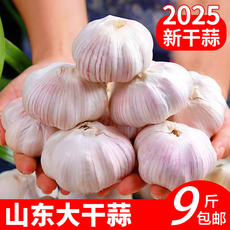 云南紫皮多瓣蒜2025新鲜蒜头