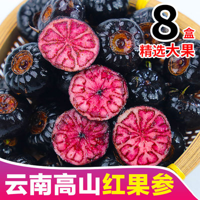 红果参云南水果当季新鲜整箱算盘果应季稀少红蜘蛛果孕妇整箱包邮