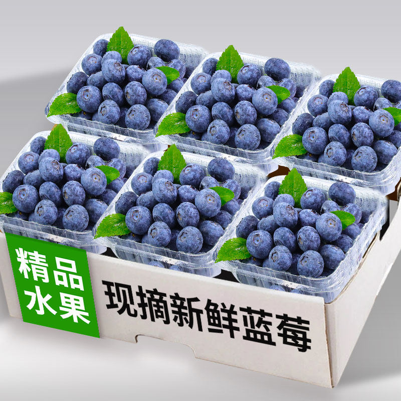 正宗蓝莓新鲜水果顺丰包邮