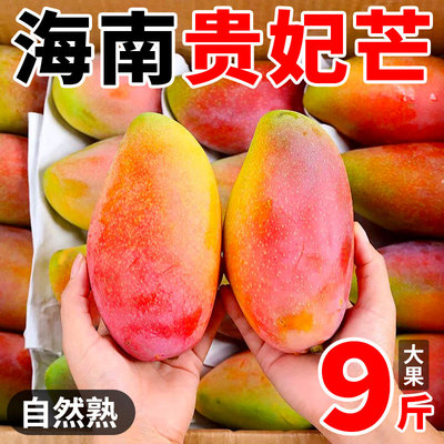 海南贵妃芒芒果新鲜水果10斤当季新鲜芒果树上熟大果时令整箱包邮