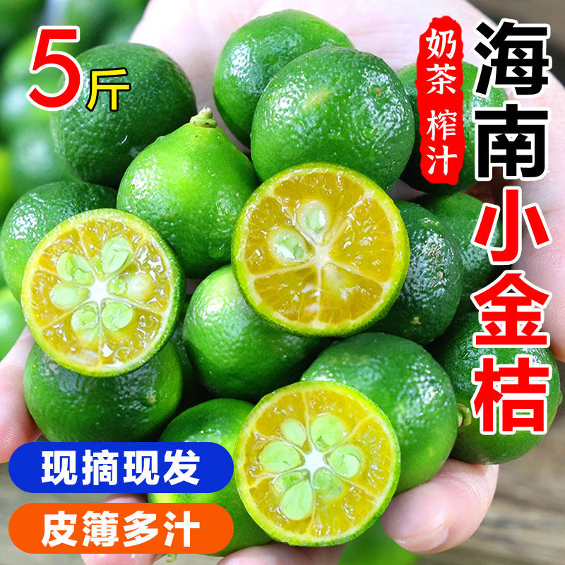 新鲜海南小金桔柠檬包邮新鲜水果