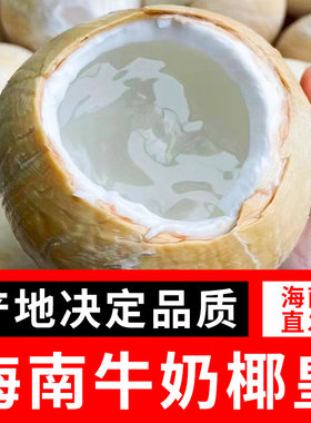 【6个装】海南牛奶椰皇新鲜三亚椰子去皮现摘椰青椰子白孕妇椰香