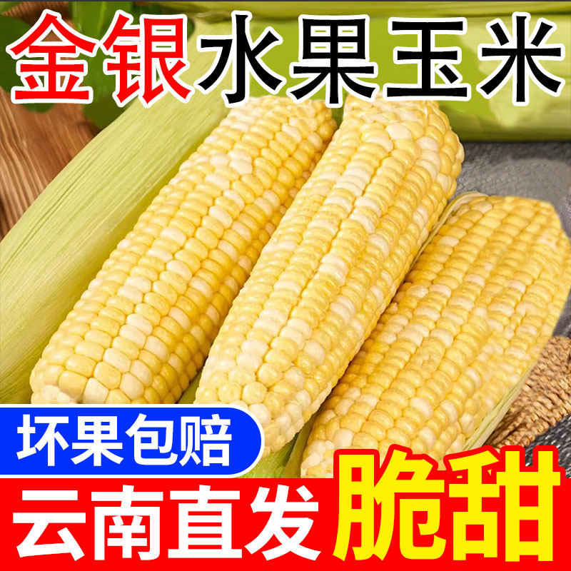 新鲜现摘云南银双色水果玉米新鲜甜玉米嫩玉米非软糯玉米9包邮,水产肉类/新鲜蔬果/熟食,新鲜玉米,淘宝优惠券,粉丝福利购,淘宝优惠卷