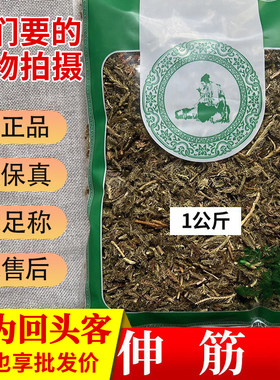 亳州中药材当季新货无硫伸筋草舒筋筋骨草1000g新鲜干货