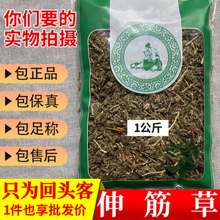 亳州中药材当季新货无硫伸筋草舒筋筋骨草1000g新鲜干货