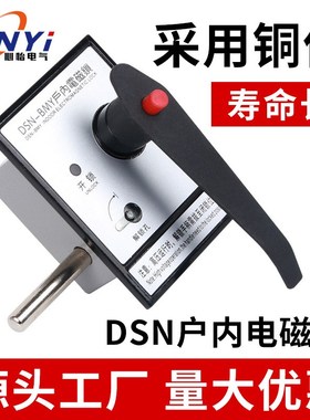 户内高压电磁锁DSN-BMZ BMY/AMZC(Y) I/Y(Z) 手柄式开关柜门电磁