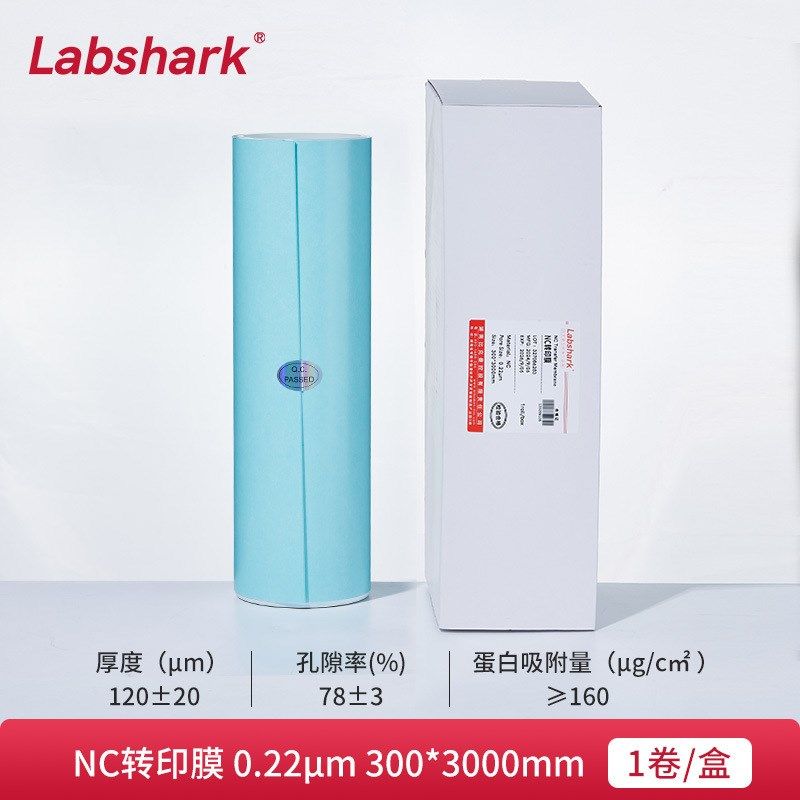 转印膜PVDF/NC转印膜实验室蛋白免疫I印迹转移0.22m0.45