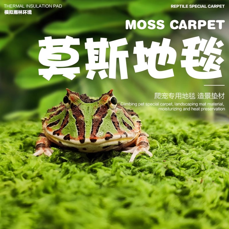 爬宠雨林造景莫斯地毯宠物树蛙牛蛙角蛙饲养箱垫材爬虫雨林缸保湿