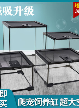 爬宠玻璃缸睫角守宫饲养箱鬃狮蜥蜴蛇角蛙树蛙蜘蛛爬虫生态雨林缸