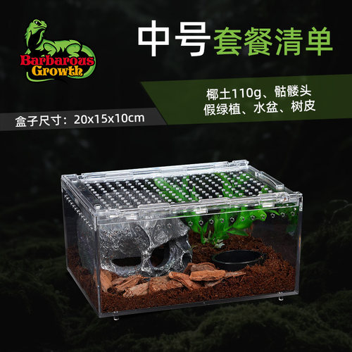 BG爬虫宠物箱亚克力捕鸟蛛狼蛛蜘蛛甲虫雨林蝎子造景爬宠饲养盒