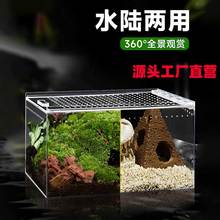 亚克力爬宠饲养箱乌龟水陆生态守宫蜥蜴角蛙雨林造景寄居蟹饲养盒