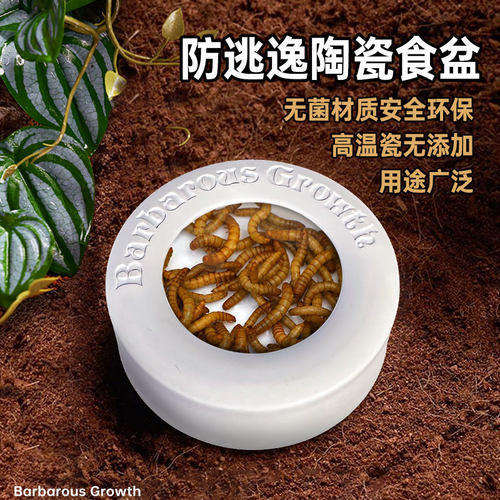 可替换内胆重复使用爬宠专用食盆