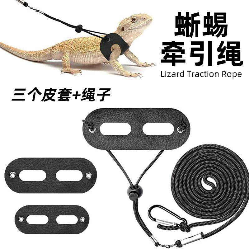 蜥蜴专用套装牵引绳鬃狮溜守宫爬宠外出牵引绳绳胸背翅膀宠物绳,宠物/宠物食品及用品,爬宠清洁及日用品,淘宝优惠券,粉丝福利购,淘宝优惠卷