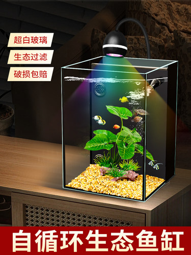 客厅小型鱼缸新款超白玻璃小鱼缸桌面水族箱家用生态免换水金鱼缸