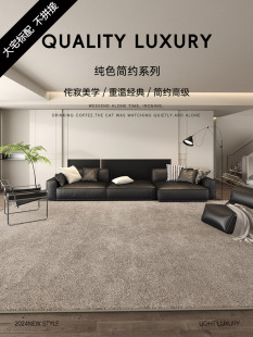 轻奢高级感茶几沙发毯卧室床边毯纯色可定制 大宅地毯客厅2024新款