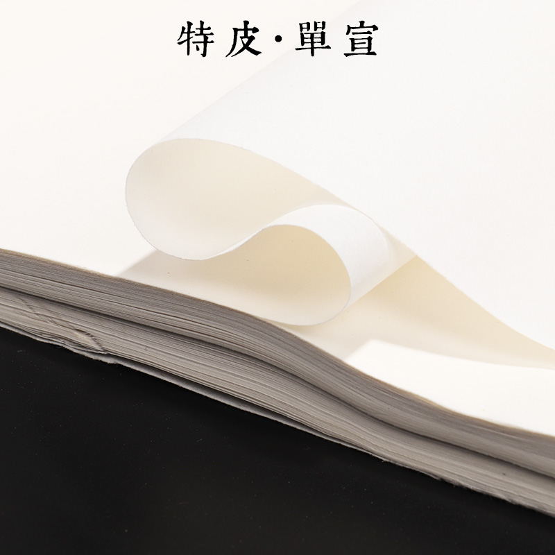 熟宣四尺六尺写意考级书法国画