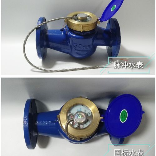 新款脉冲式远传水表 霍尔信号 脉冲信号 开关信号远传法兰水表DN1