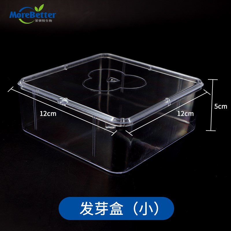 园艺用品保温塑料育苗盒 育苗 种子发P芽盒保湿保温发芽率