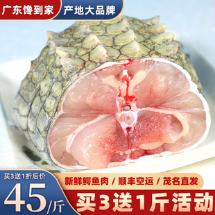 新鲜鳄鱼肉 新鲜整只鲜活鳄鱼1斤带皮去鳞当天现杀养殖泰国暹罗鳄