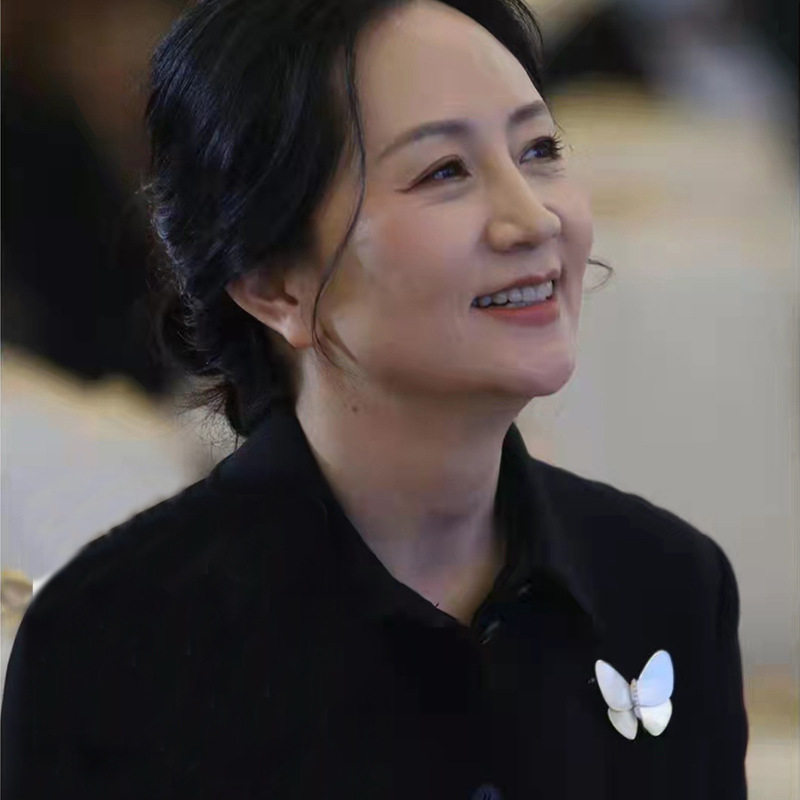 孟晚舟同款破茧成蝶蝴蝶胸针高档女胸花别针高级感精致西装配饰
