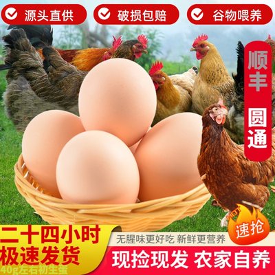 农村谷物喂养鸡蛋新鲜40枚初产蛋