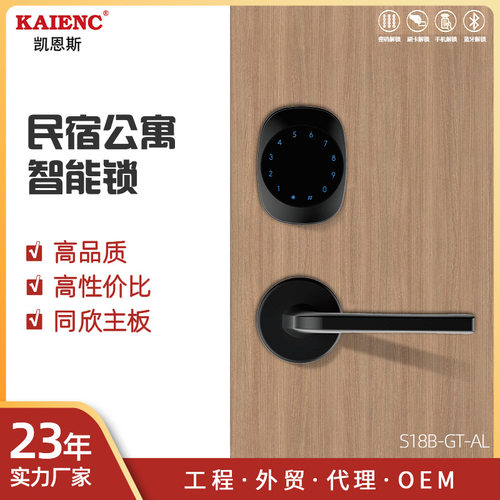 简约分体公寓密码锁远程APP手机蓝牙智能锁出租房民宿酒店公寓锁