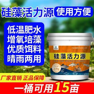 硅藻活力源浓缩复合硅藻种水产养殖鱼塘用肥水培藻增氧藻类培养基