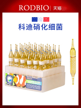 科迪硝化细菌硝化菌水质稳定剂粮1
