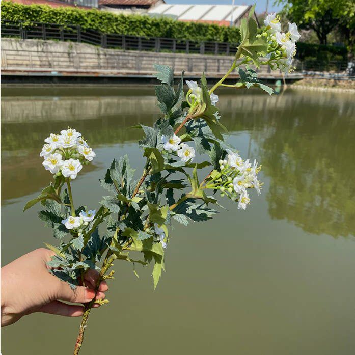 森系盎然小手球假花仿真花束自然风客厅餐桌民宿软装花艺装饰摆件