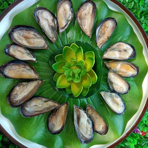 网红仿真荷叶水果蔬菜盘子餐厅绿叶装饰高颜值烧烤肉蛋糕海鲜摆盘