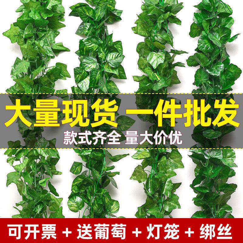 墙面挂饰仿真绿植尤加利藤条家居装饰空调管子遮丑藤蔓绿色植物