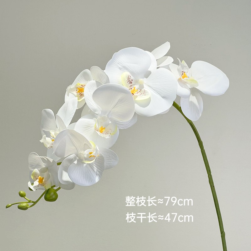 高品质九头仿真蝴蝶兰 湿感假花客厅桌面花艺摆件室内软装造景