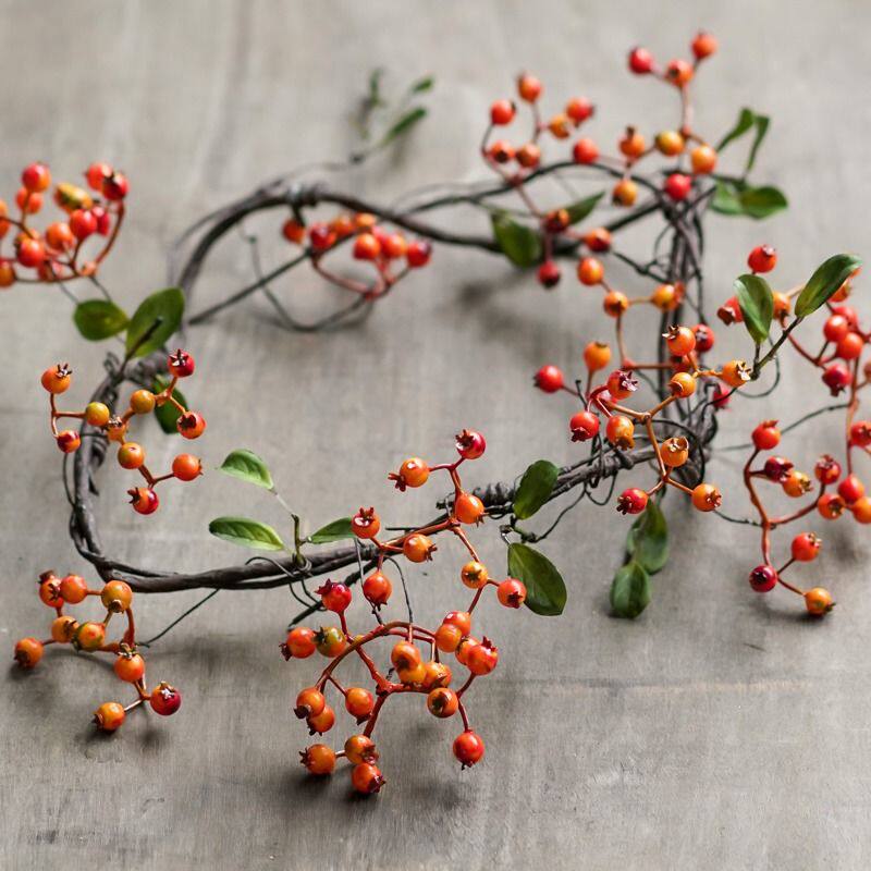 仿真藤条红果子装饰植物蔓藤吊顶垂挂软装设计艺术风格餐厅墙壁