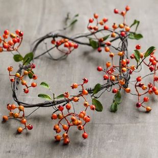 仿真藤条红果子装饰植物蔓藤吊顶垂挂软装设计艺术风格餐厅墙壁