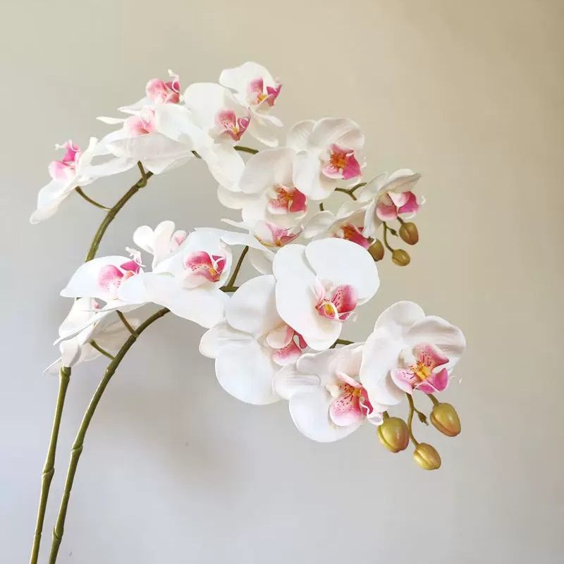 仿真蝴蝶兰单支湿感假花 客厅餐边柜插花婚庆场景装饰花艺摆件
