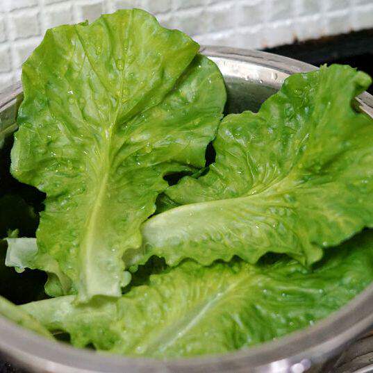 仿真蔬菜模型烧烤生菜叶