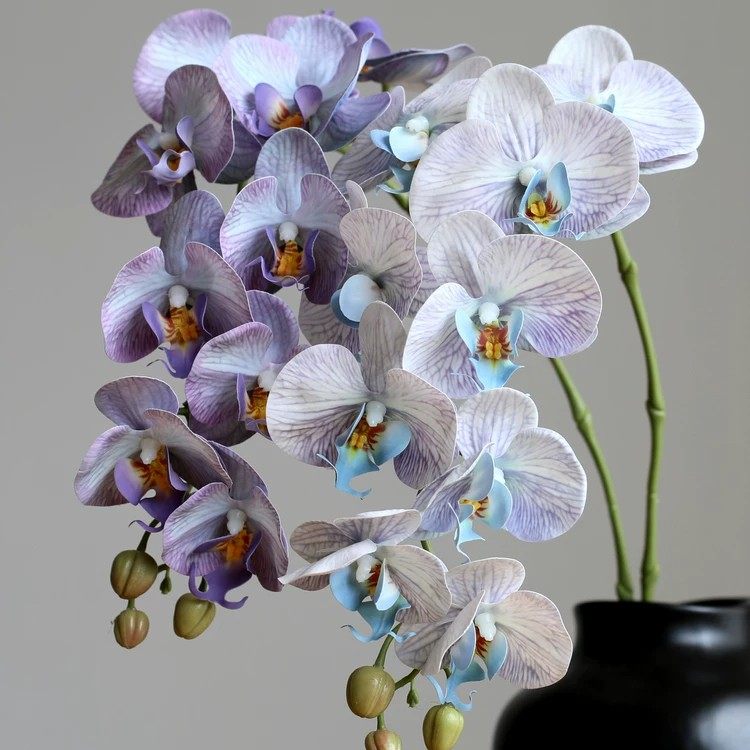 高端仿真蝴蝶兰假花 逼真手感客厅电视柜插花室内软装摆设花艺