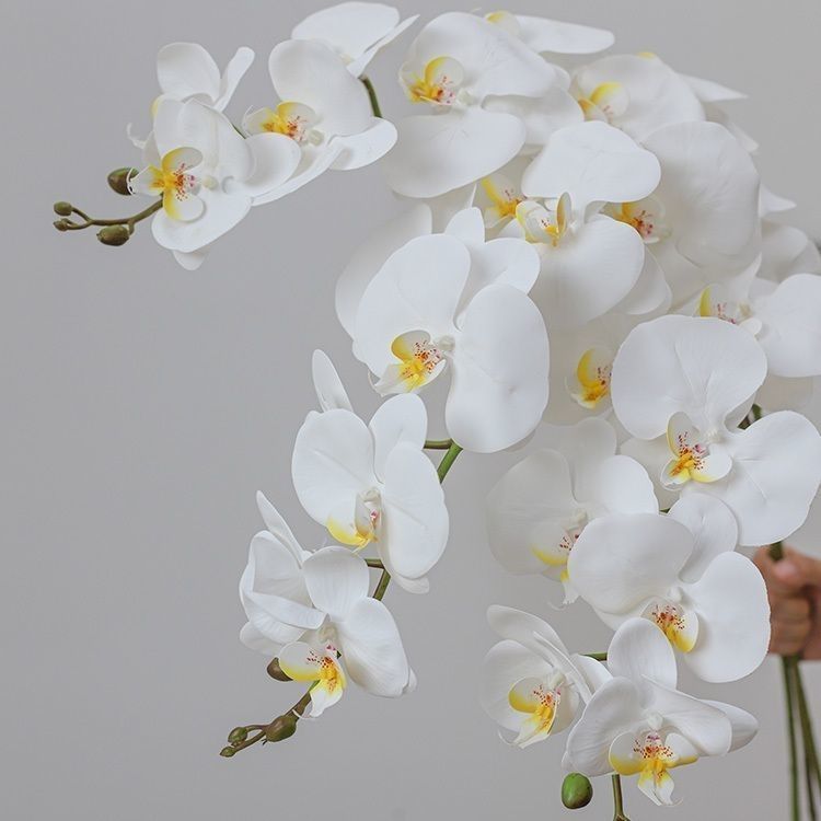 仿真蝴蝶兰轻奢假花束 9头逼真手感餐桌茶几插花家居造景摆件