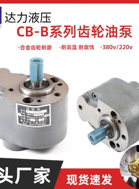 新款齿轮油泵CB-B40/B50/B63/B80/B100/B125/B160XCB XTCB TX包邮