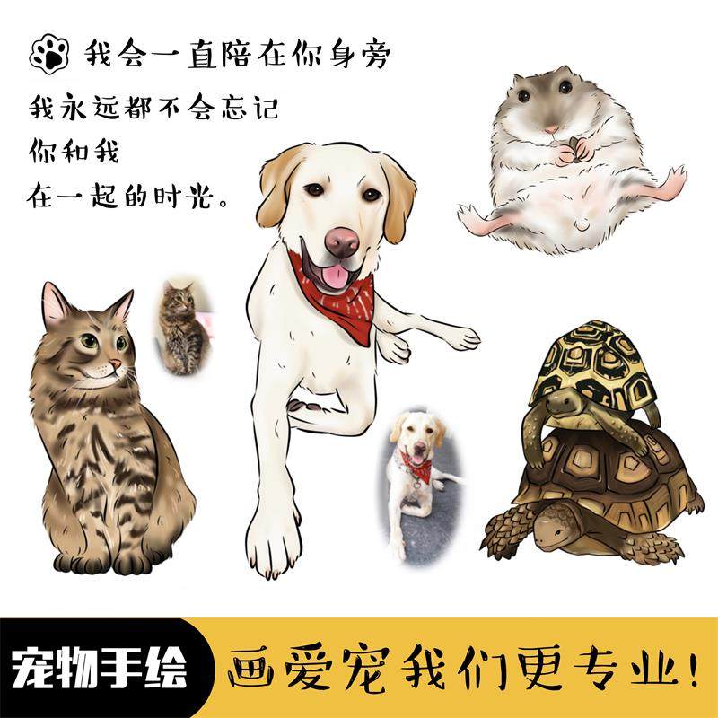 q版宠物头像手绘猫狗鼠兔画像定制真人照片logo代画动物卡通设计