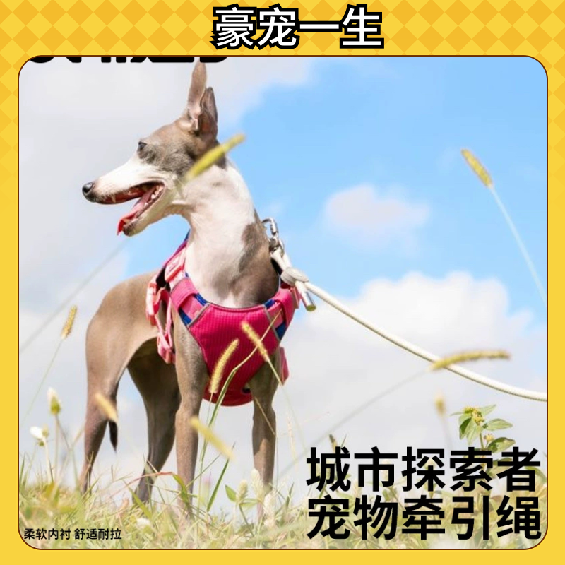 UNMIXED城市探索者牵引绳狗狗遛狗宠物多功能牵绳户外牵引四季