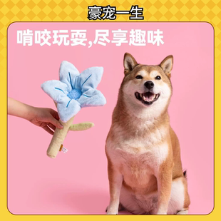 新款  派思维繁华系列猫咪狗狗玩偶毛绒玩具自嗨玩具响纸叫叫发声