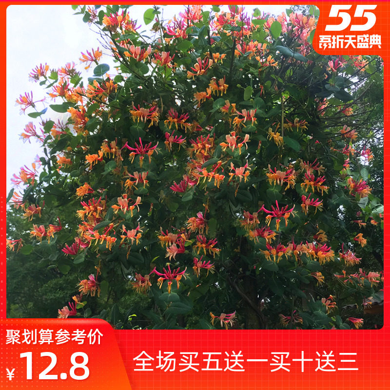 网友分享在meiguo.com的图片