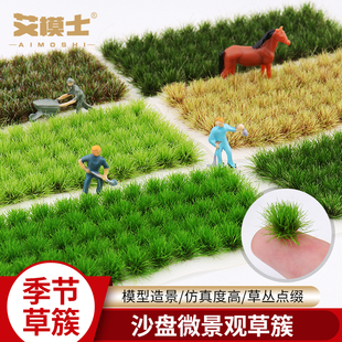 沙盘模型草簇微缩场景长草杂草兵人情景地台diy手工材料模型草丛