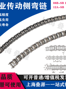 侧弯链转弯机弧形半圆输送链条08BSB 10ASB 12ASB标准附件定制链