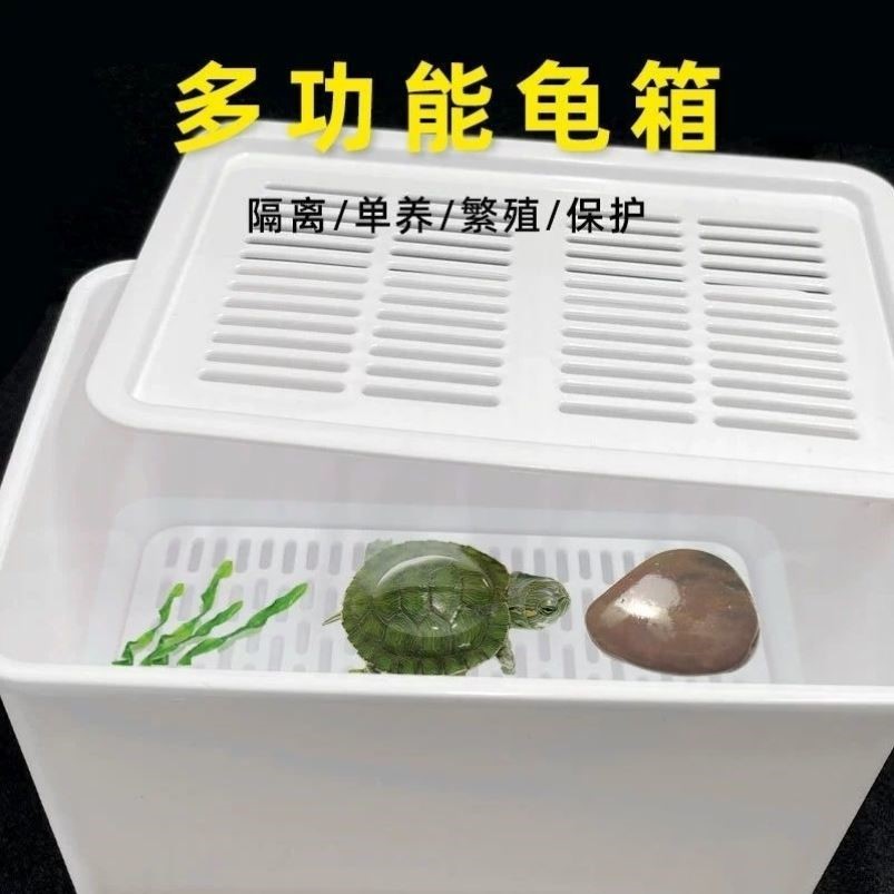 乌龟饲养盒养龟乌龟育苗盒蛋龟发色盒水龟饲养盒龟缸鱼缸龟苗孵化
