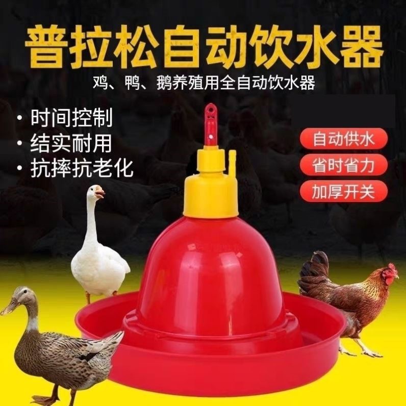 自动饮水器鹌鹑喂水器兔子喂水碗鸽鹦鹉芦丁鸡喂水自动省力喂水