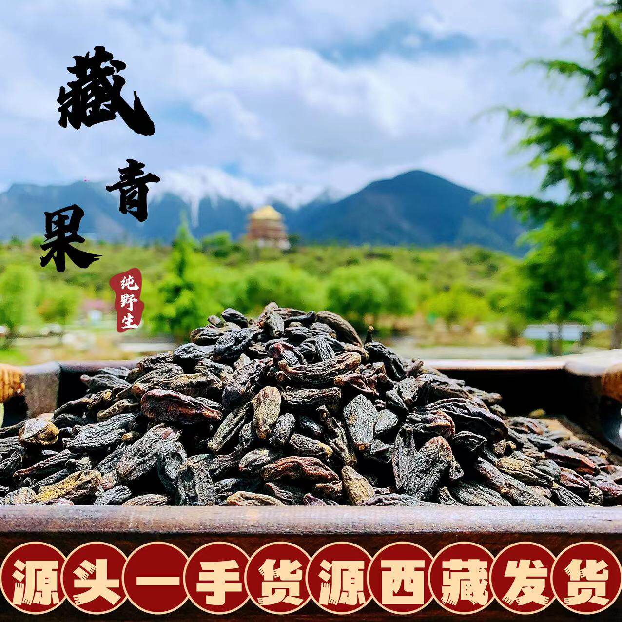 西藏直发野生藏青果青藏高原无污染精选西藏野生西青果子干橄榄果